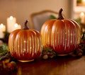 🔥2025 HOT SALE - 🎃✨ Illuminated Starry Night Glass Pumpkins (✨Same as in the video) - Alba Vaga